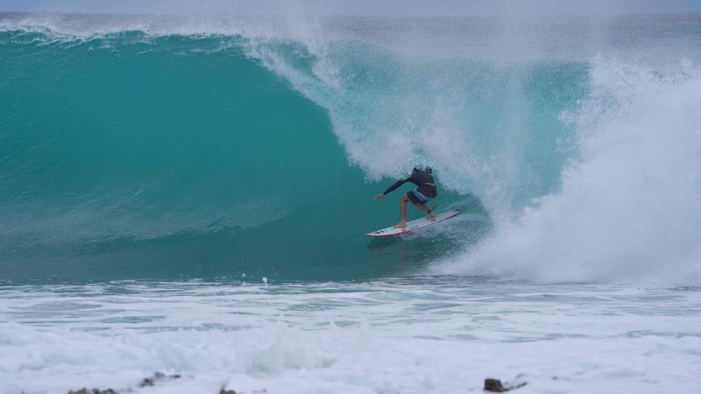 Mason Ho 1996 Round Nose Fish