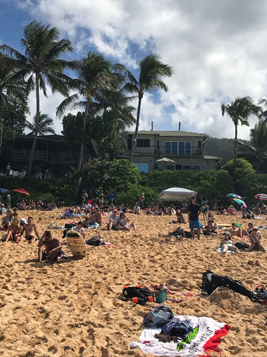 pipe masters en vivo