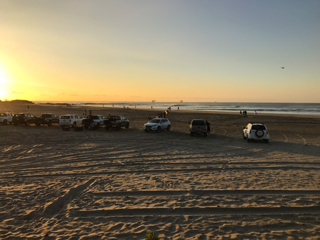 PLaya lobitos